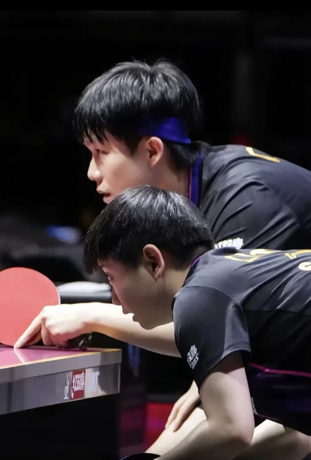 2019年总冠军多伦多猛龙队阵容 2019年总冠军多伦多猛龙队阵容