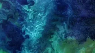 lol赛事官网 -包含?'顆?蘠t?;U慴?wX鹳??m梛愨2ⅴkX?	牰銫Yc	惸~的词条